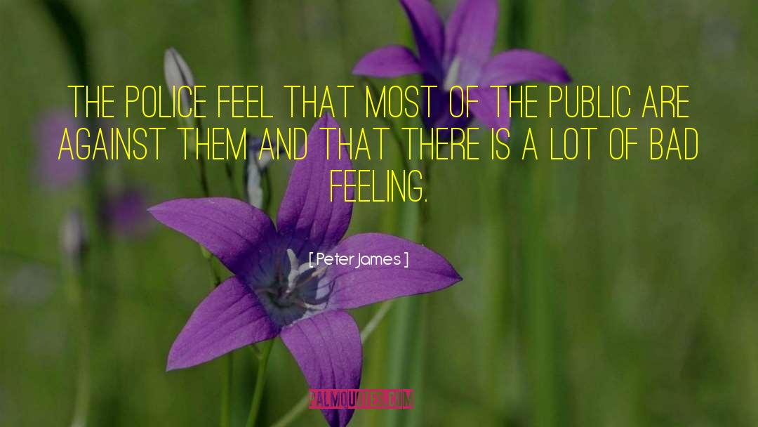 Bad Feeling quotes by Peter James