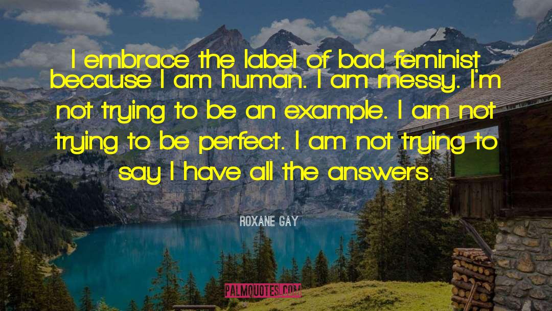 Bad Feminist quotes by Roxane Gay