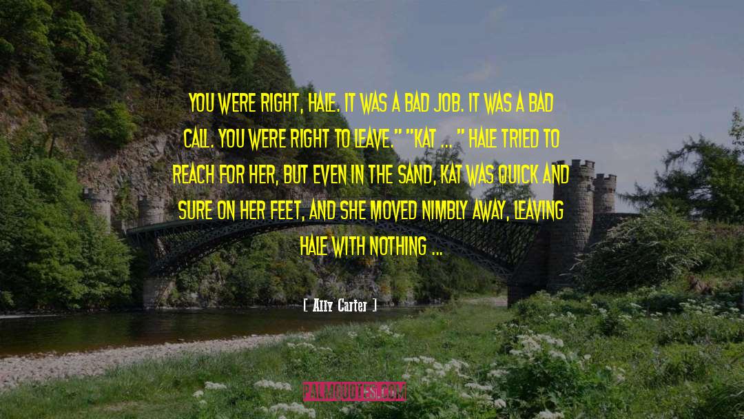 Bad For You 2 quotes by Ally Carter