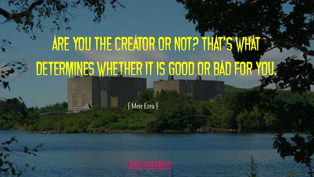 Bad For You quotes by Meir Ezra