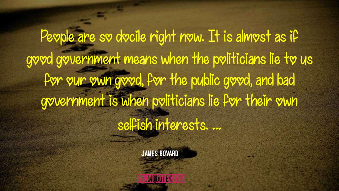 Bad Government quotes by James Bovard