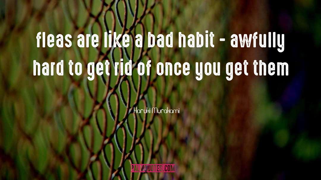 Bad Habit quotes by Haruki Murakami