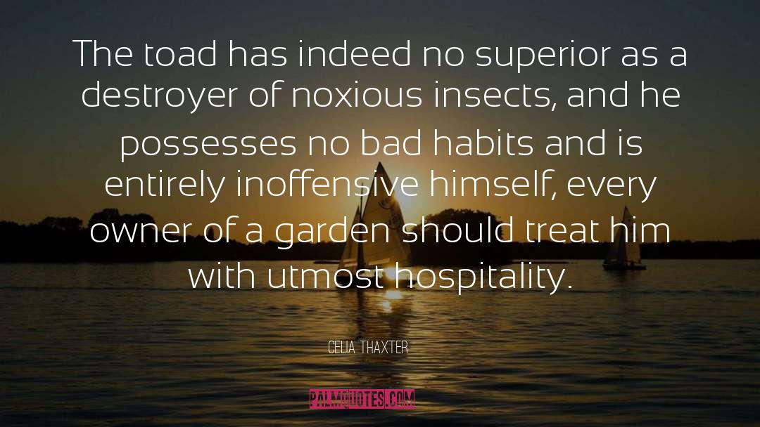 Bad Habits quotes by Celia Thaxter