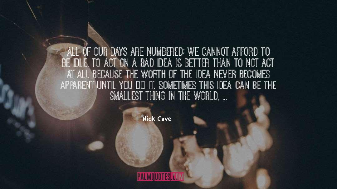 Bad Idea quotes by Nick Cave