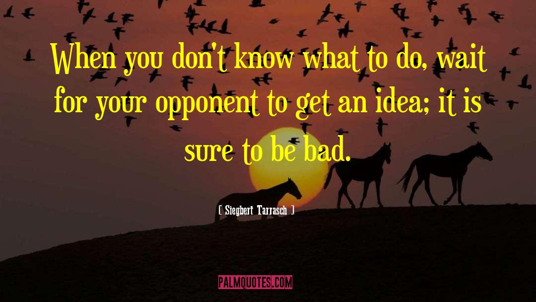 Bad Ideas quotes by Siegbert Tarrasch
