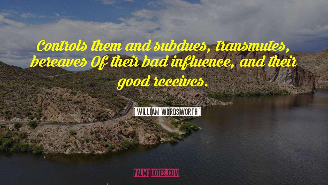 Bad Influence quotes by William Wordsworth