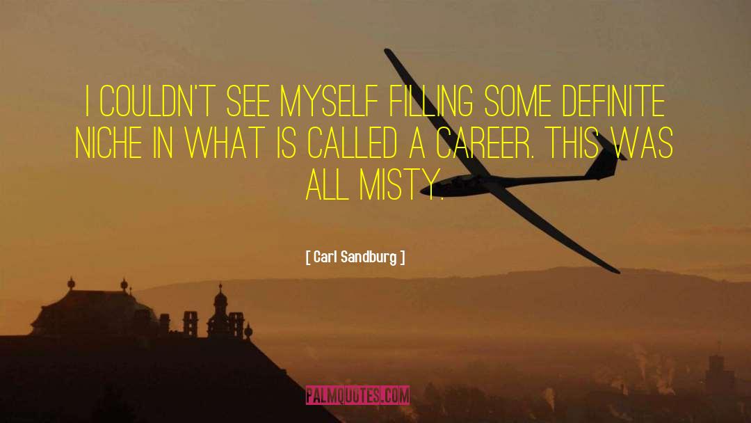Bad Literature quotes by Carl Sandburg
