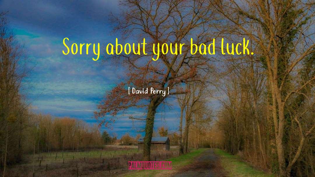 Bad Luck quotes by David Perry