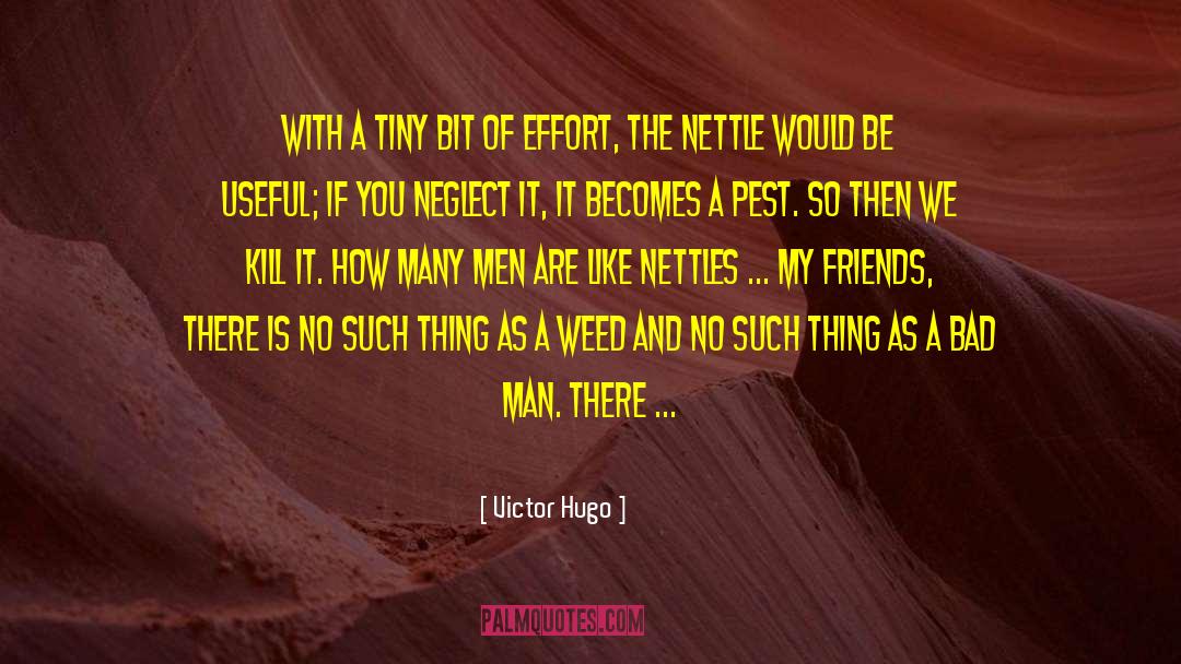 Bad Man quotes by Victor Hugo