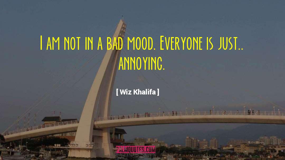 Bad Moms quotes by Wiz Khalifa
