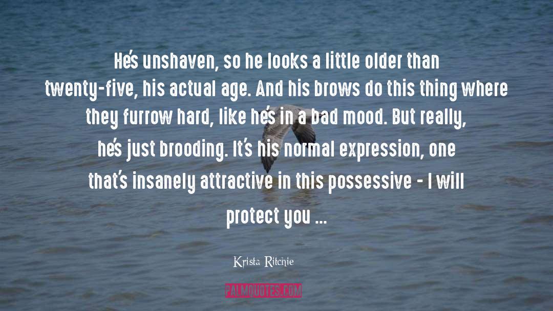 Bad Mood quotes by Krista Ritchie
