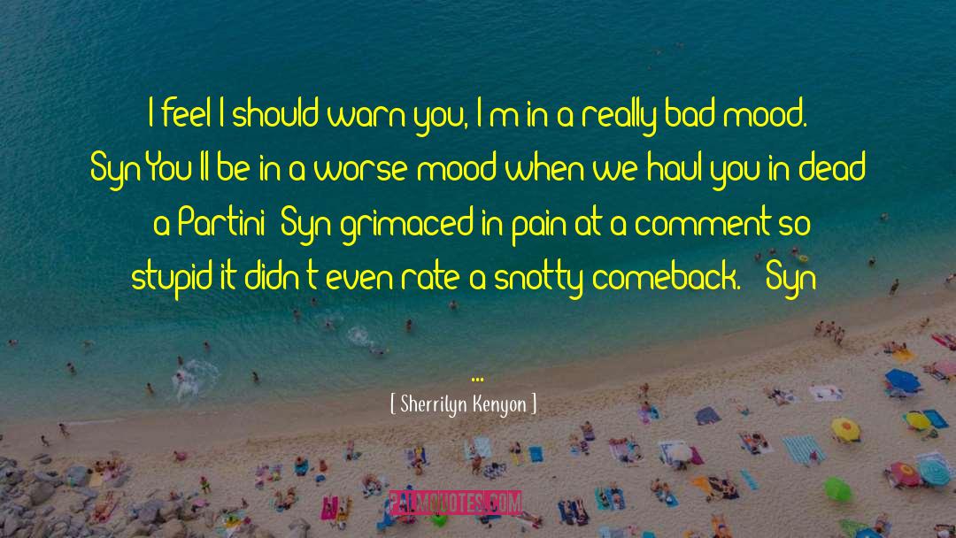 Bad Mood quotes by Sherrilyn Kenyon