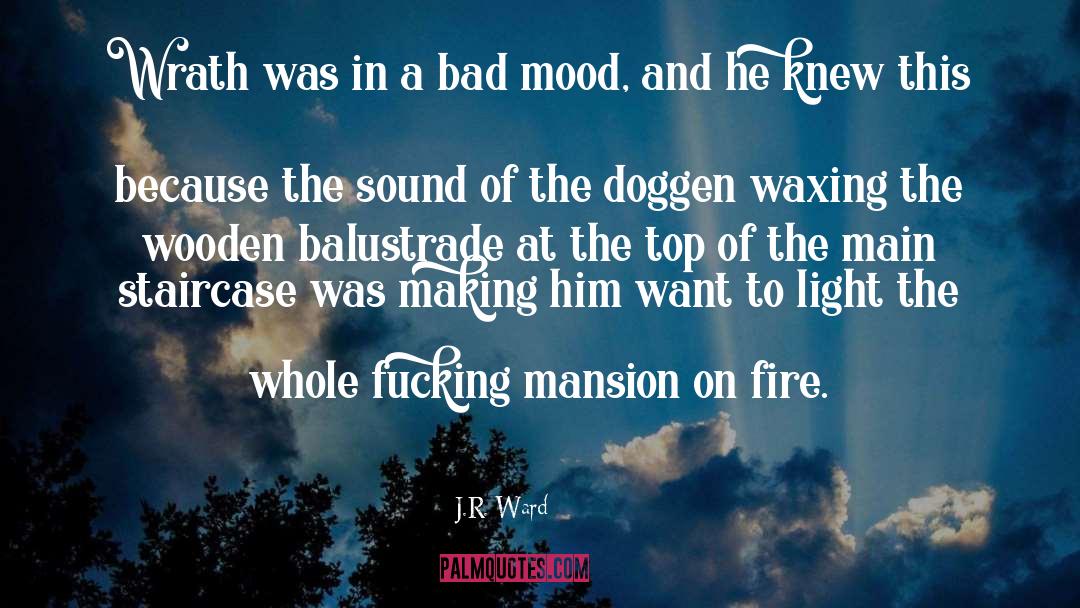 Bad Mood quotes by J.R. Ward