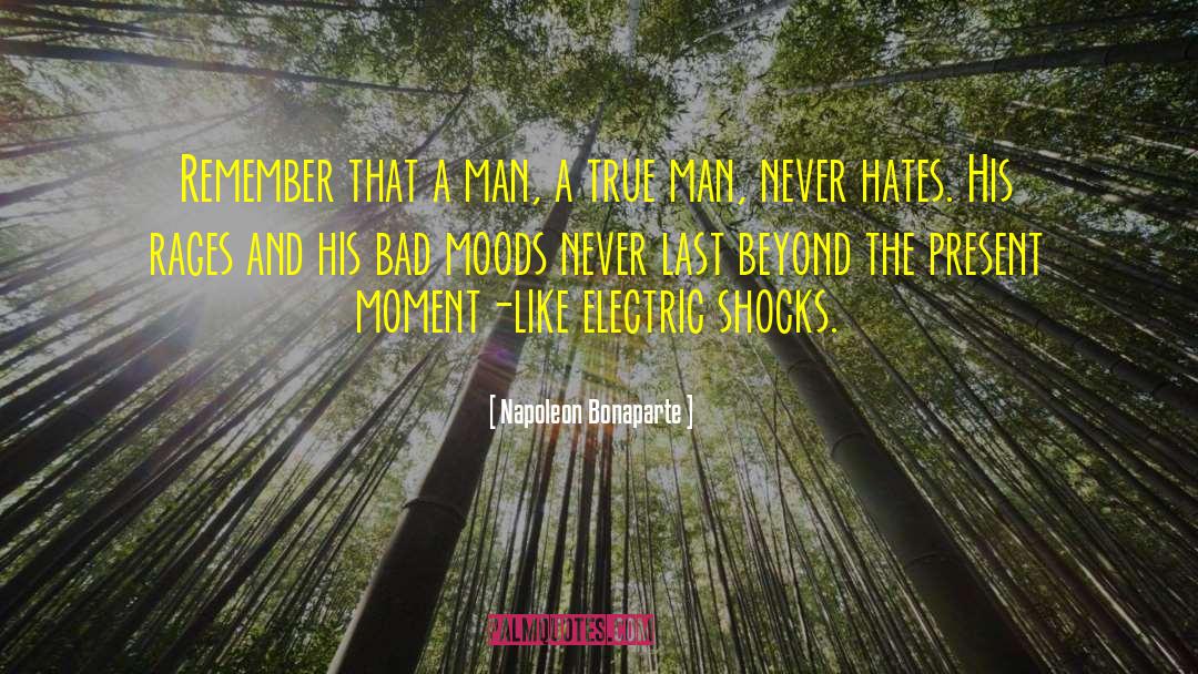 Bad Moods quotes by Napoleon Bonaparte