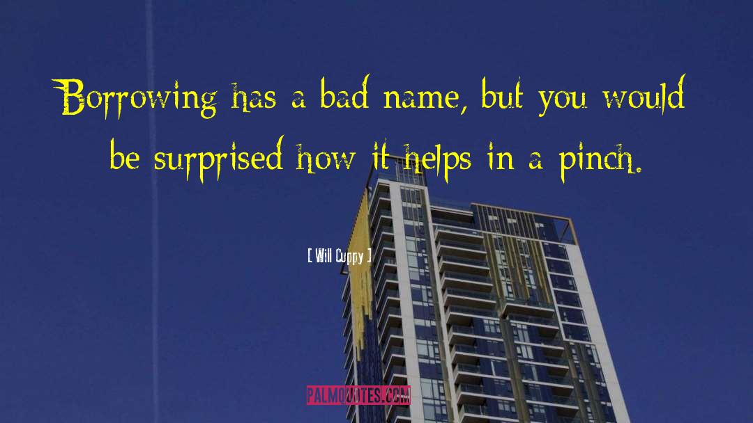 Bad Name quotes by Will Cuppy