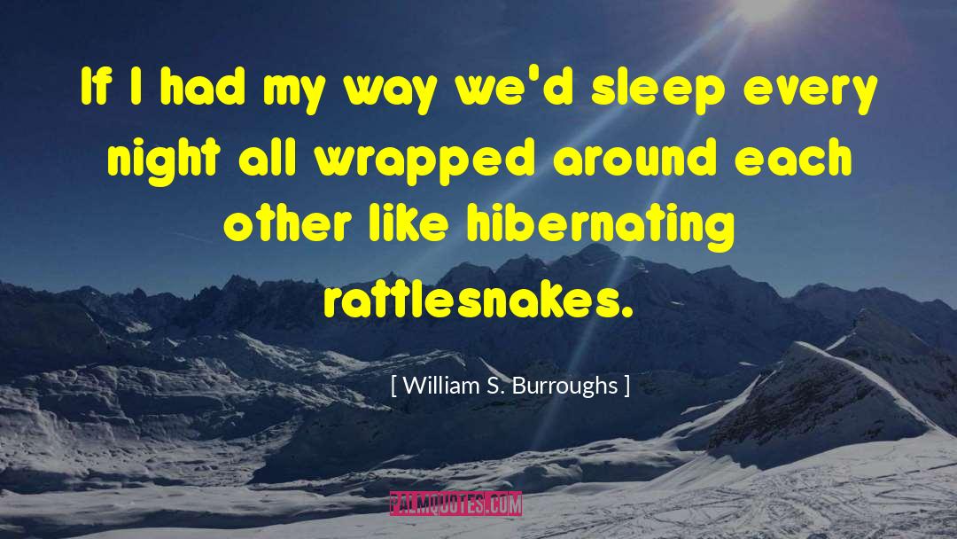 Bad Night S Sleep quotes by William S. Burroughs