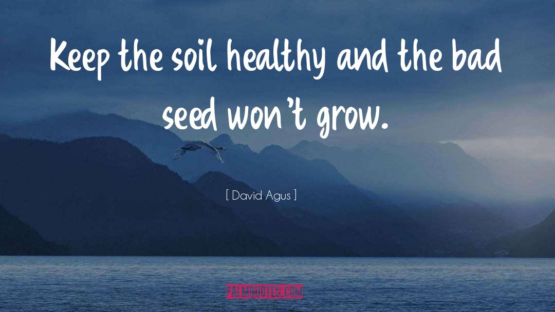 Bad Seed quotes by David Agus