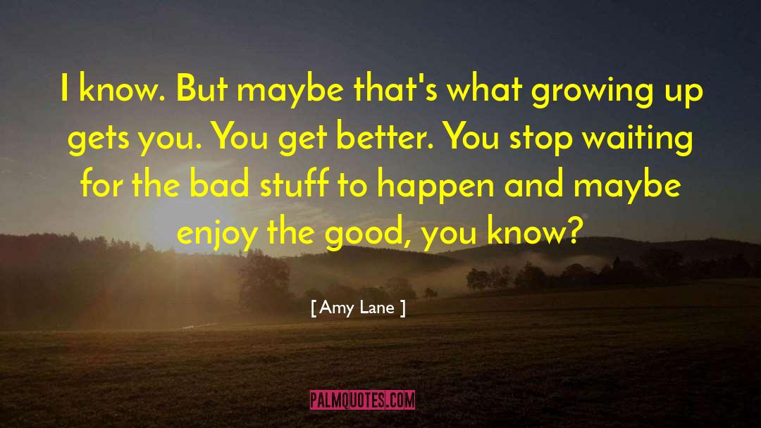 Bad Stuff quotes by Amy Lane