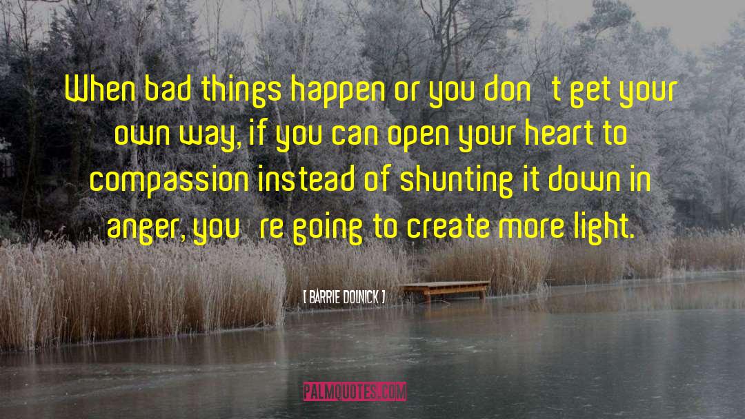 Bad Things Happen quotes by Barrie Dolnick