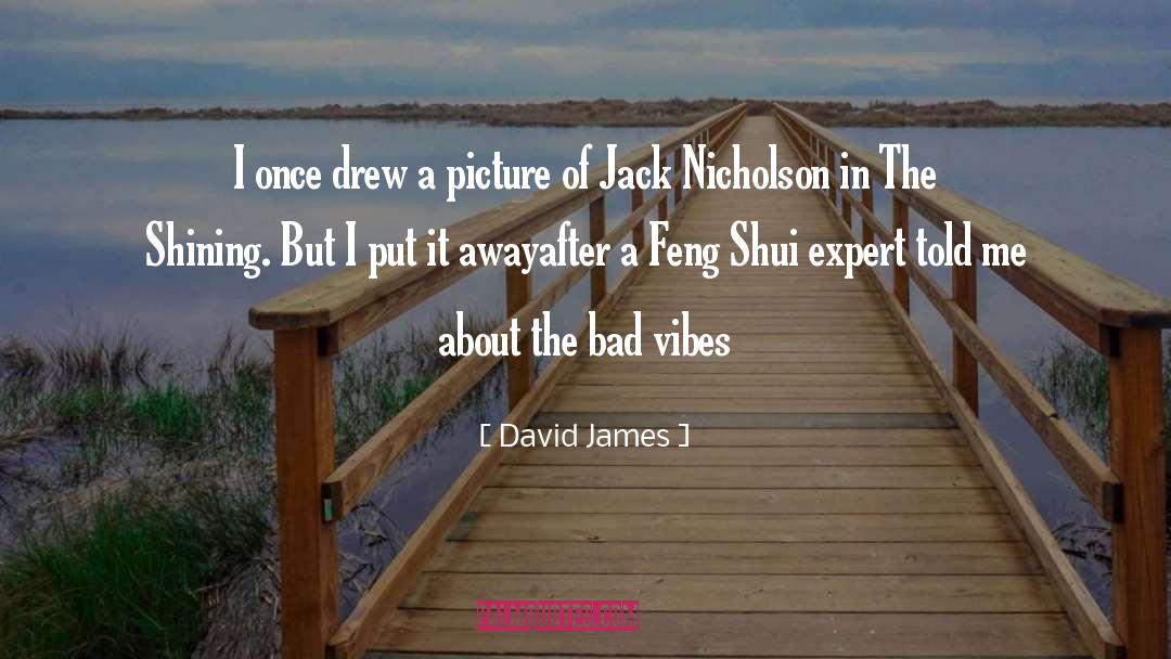 Bad Vibes quotes by David James