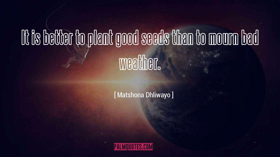 Bad Weather quotes by Matshona Dhliwayo