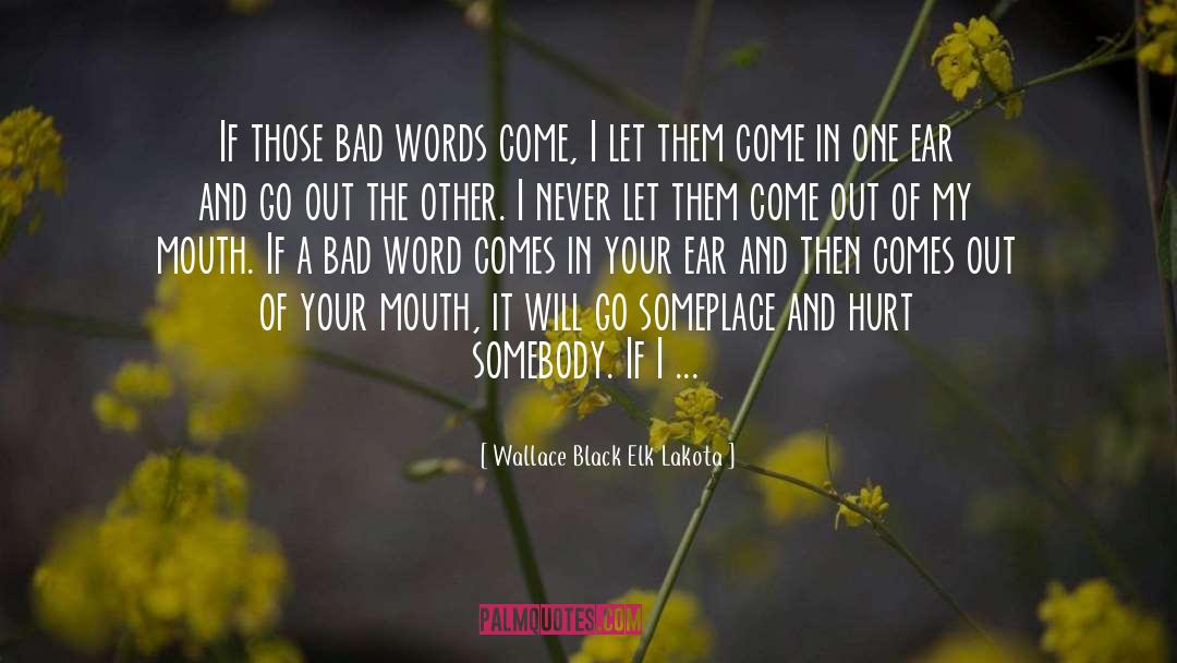 Bad Word quotes by Wallace Black Elk Lakota