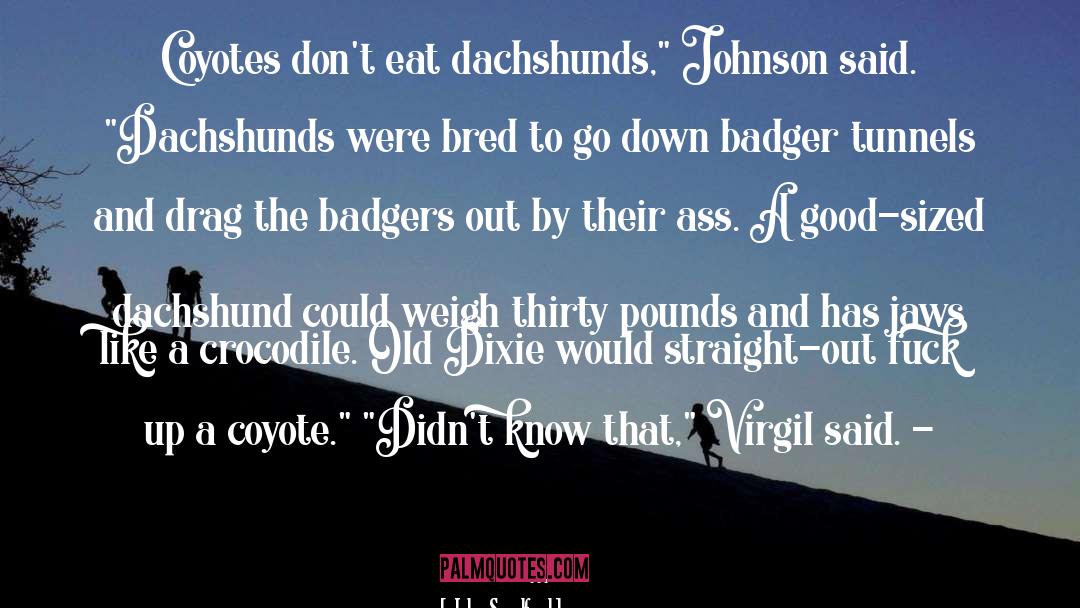 Badger quotes by John Sandford