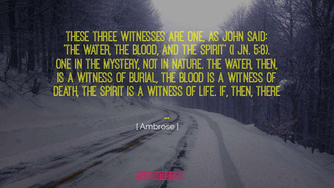 Badgering Witness quotes by Ambrose
