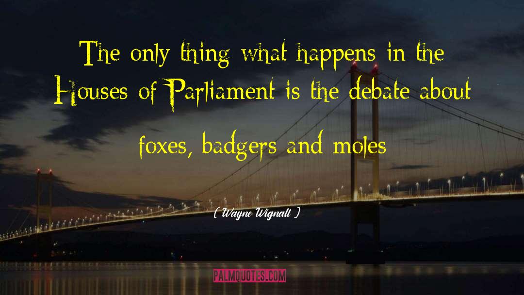 Badgers quotes by Wayne Wignall