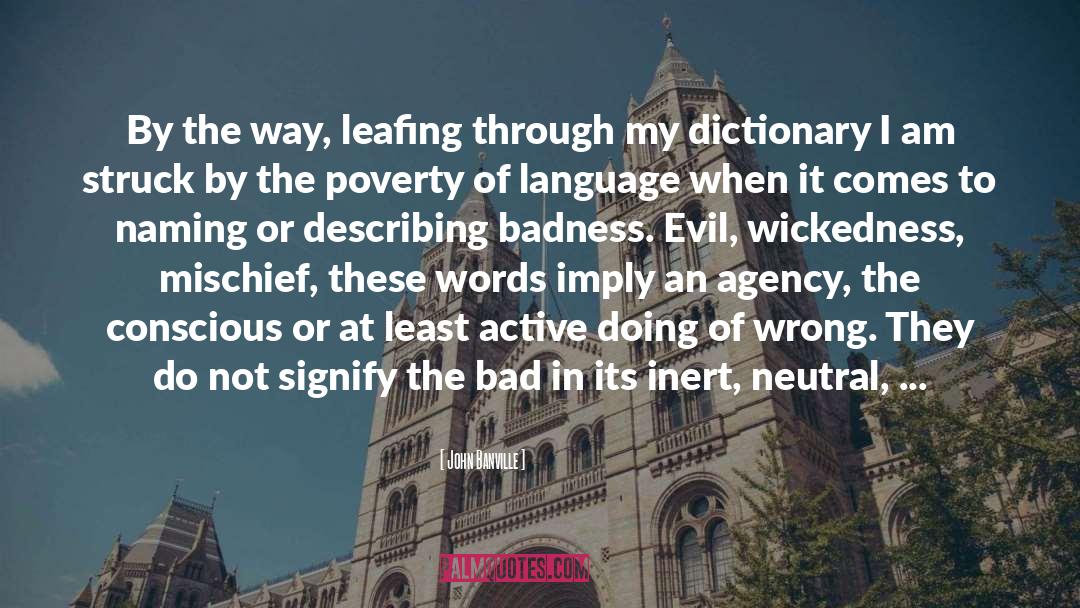 Badness quotes by John Banville