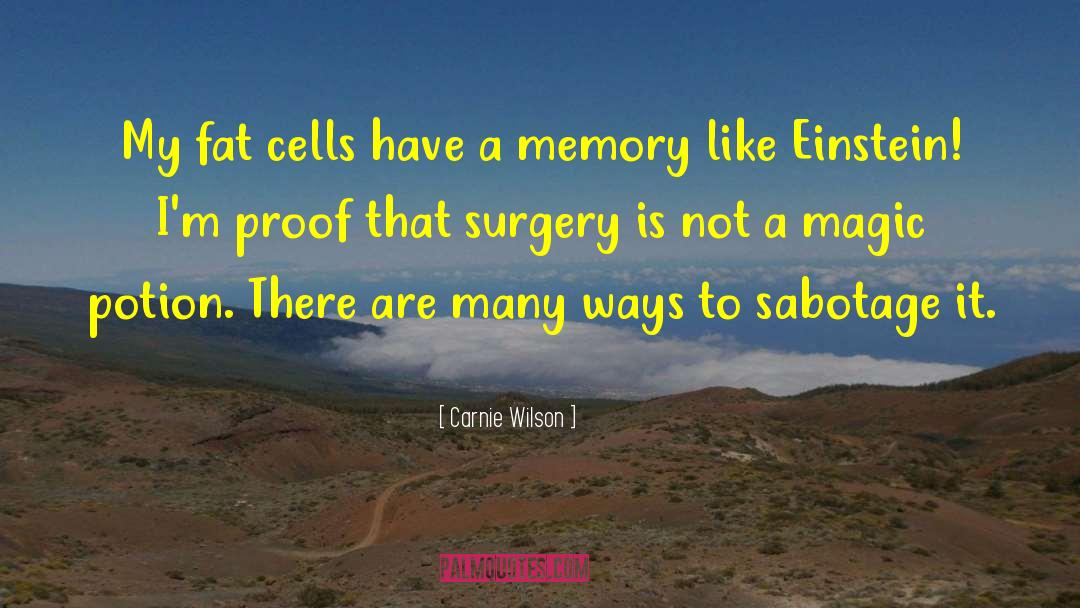 Baffins Surgery quotes by Carnie Wilson