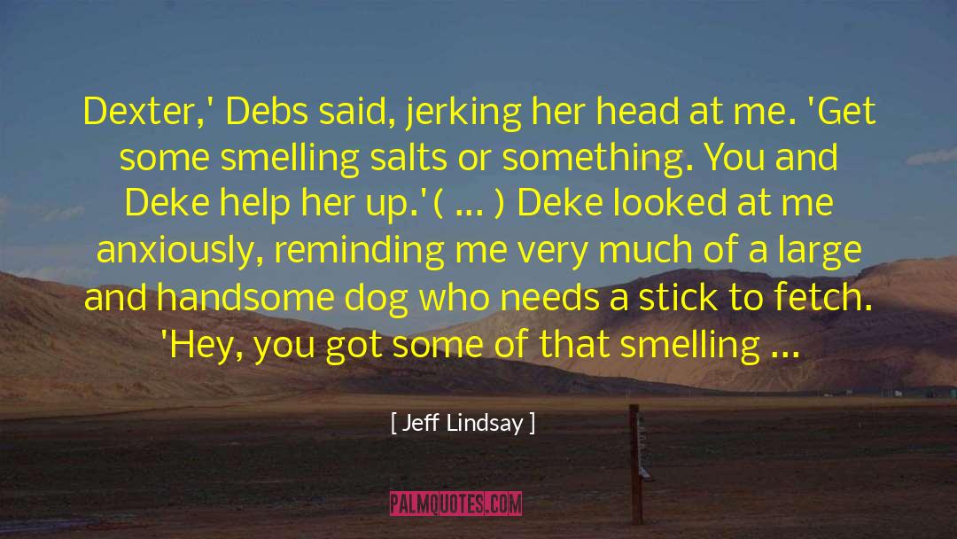 Baffling quotes by Jeff Lindsay