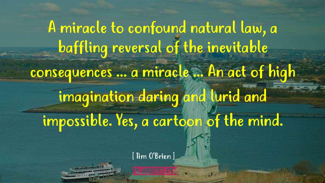 Baffling quotes by Tim O'Brien