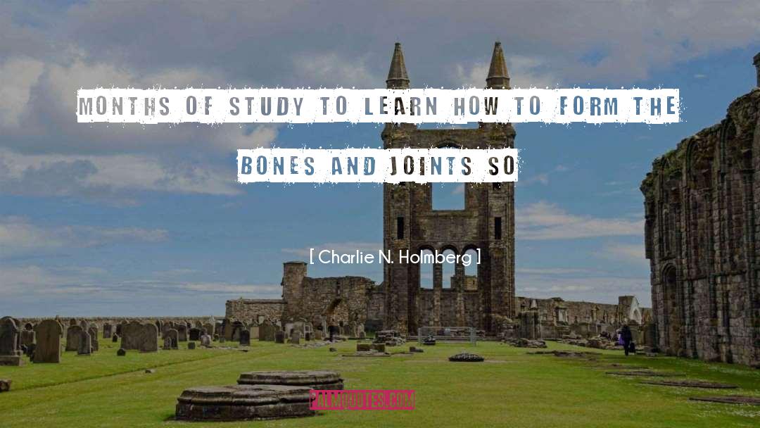 Bag Of Bones quotes by Charlie N. Holmberg
