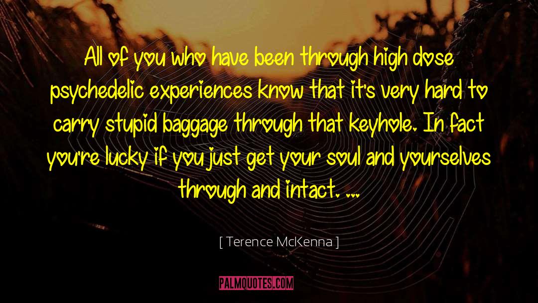 Baggage quotes by Terence McKenna