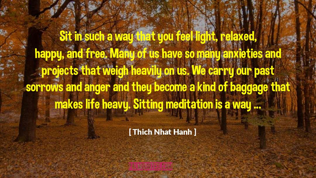 Baggage quotes by Thich Nhat Hanh