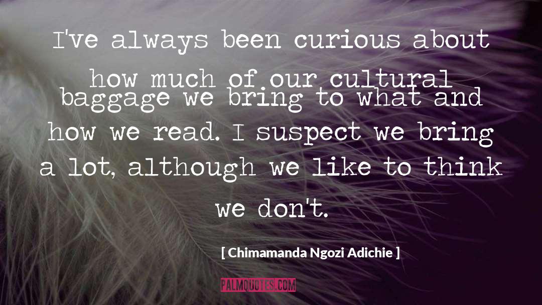 Baggage quotes by Chimamanda Ngozi Adichie