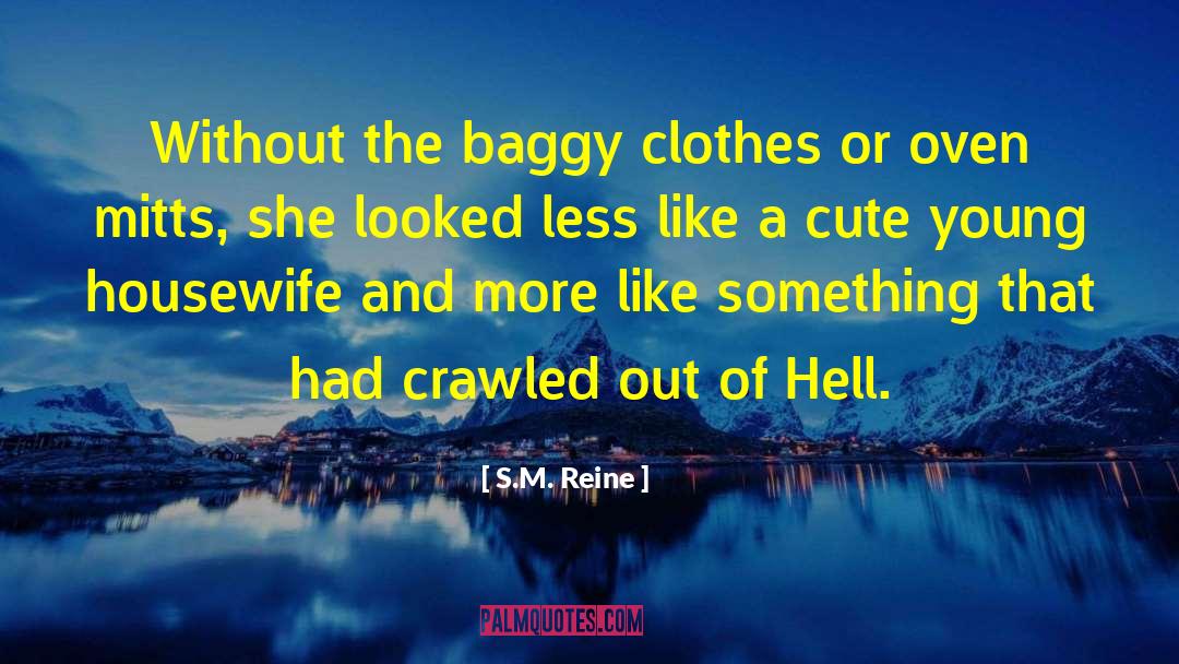 Baggy Clothes quotes by S.M. Reine