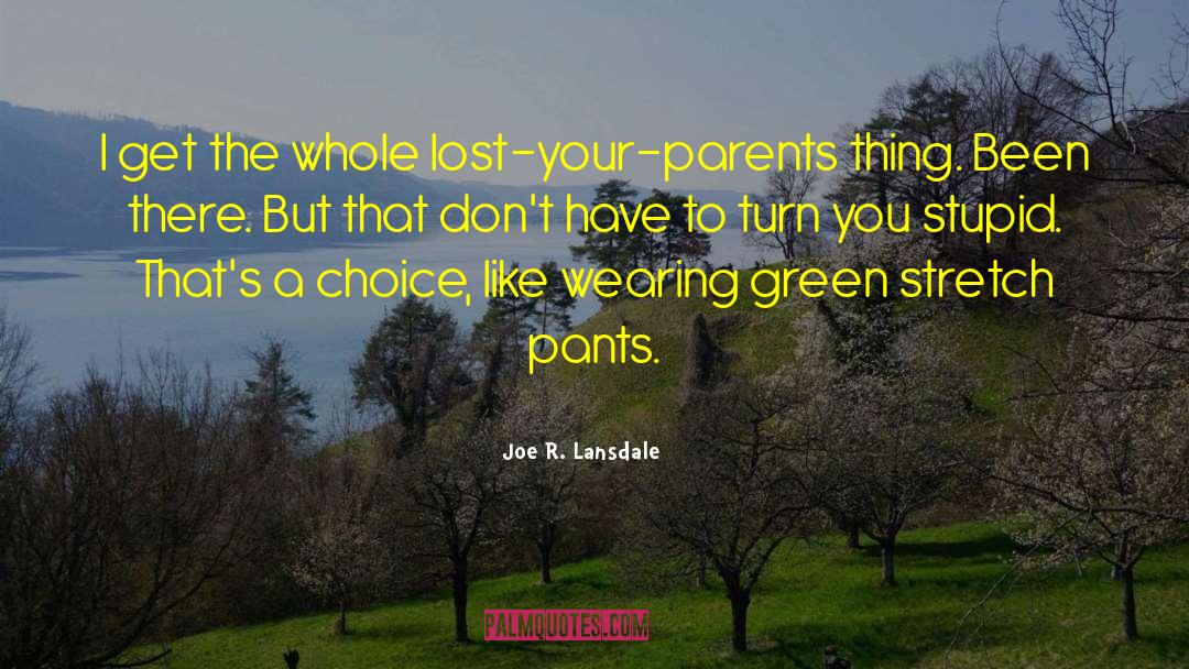 Baggy Pants quotes by Joe R. Lansdale