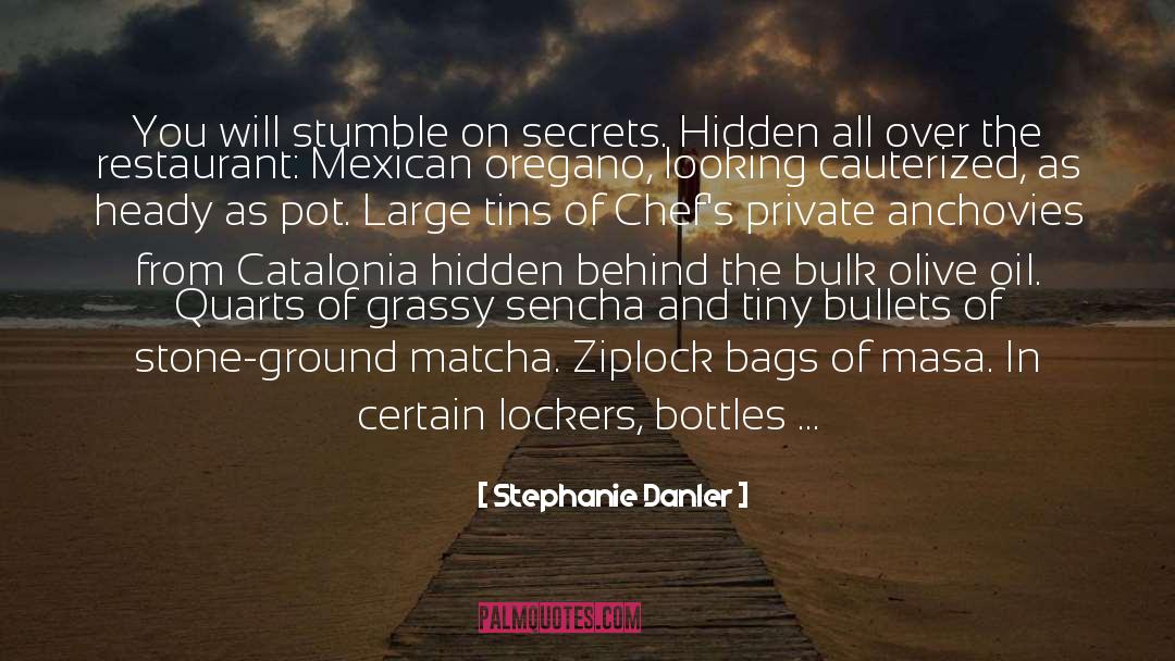 Bags quotes by Stephanie Danler