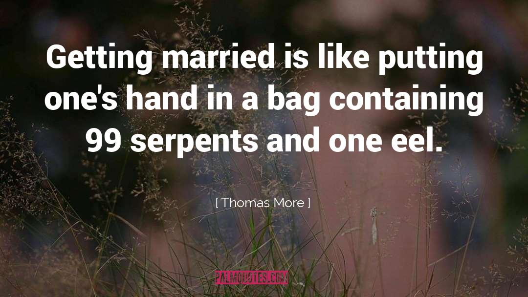 Bags quotes by Thomas More