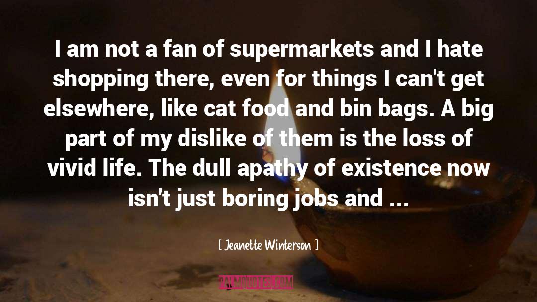 Bags quotes by Jeanette Winterson