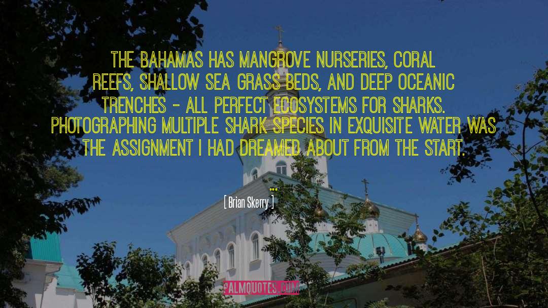 Bahamas quotes by Brian Skerry