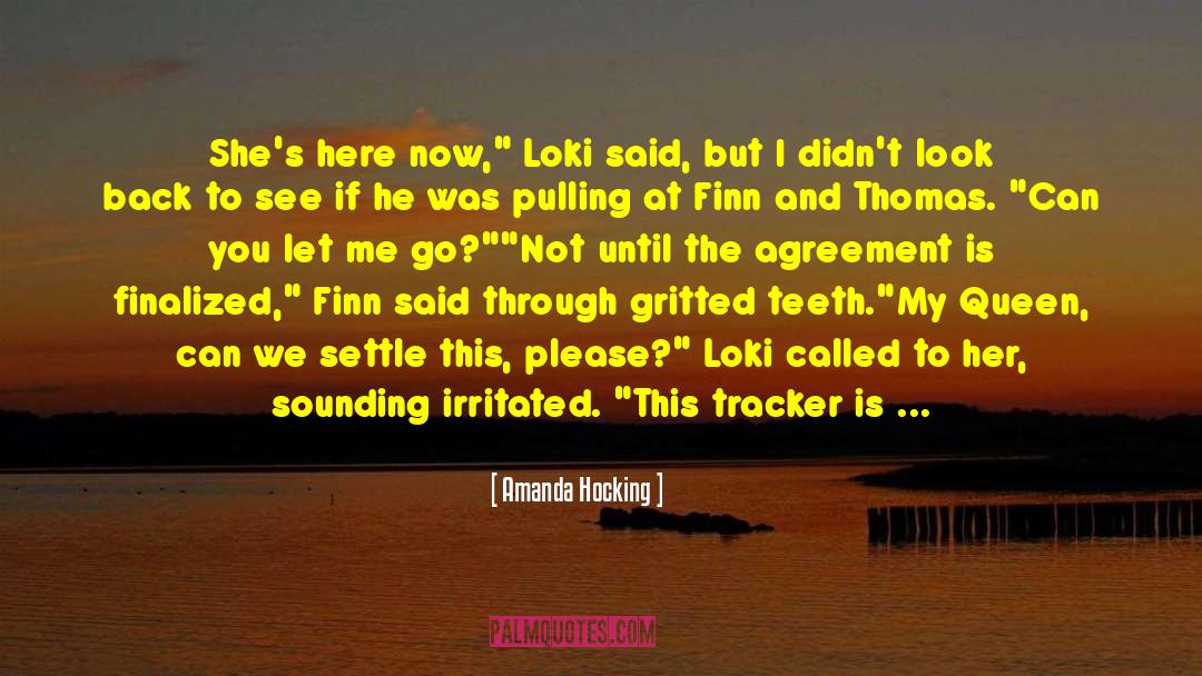 Bailout Tracker quotes by Amanda Hocking