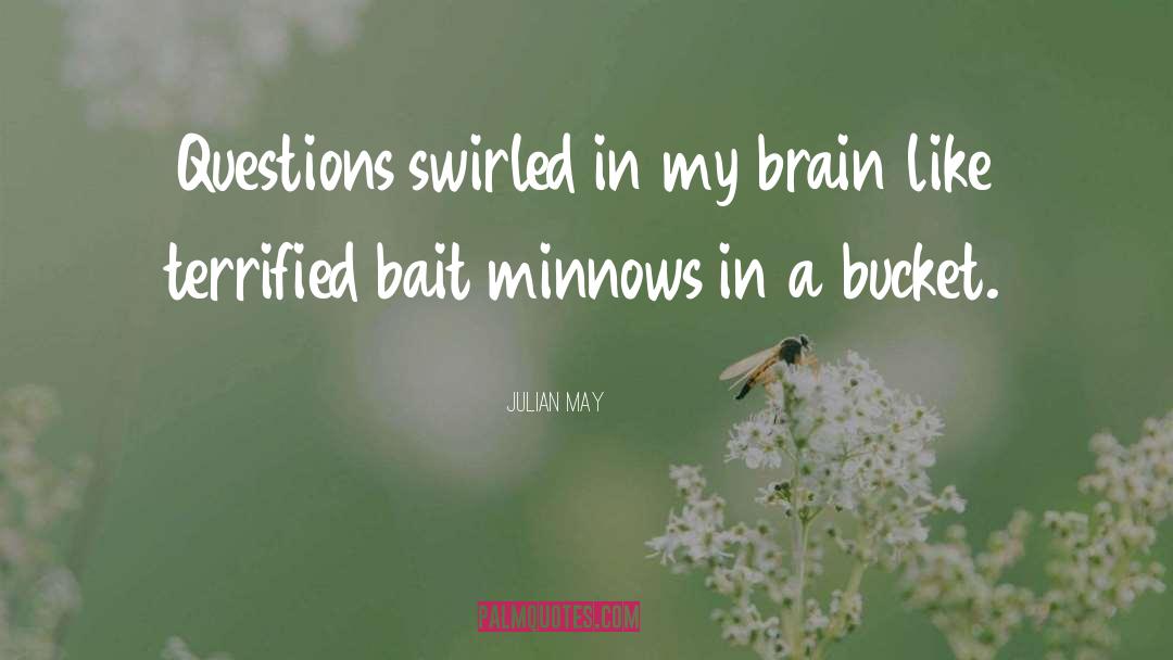 Bait quotes by Julian May