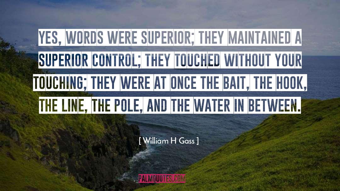 Bait quotes by William H Gass