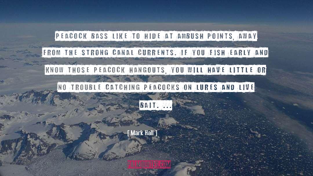 Bait quotes by Mark Hall