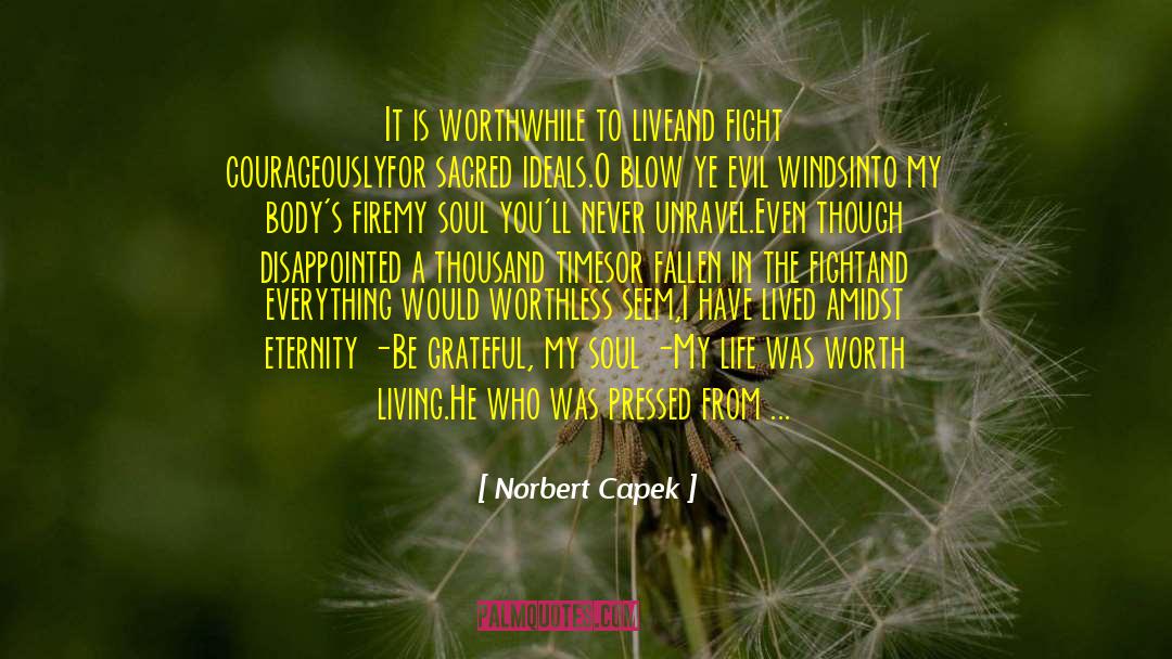 Bajusz Norbert quotes by Norbert Capek