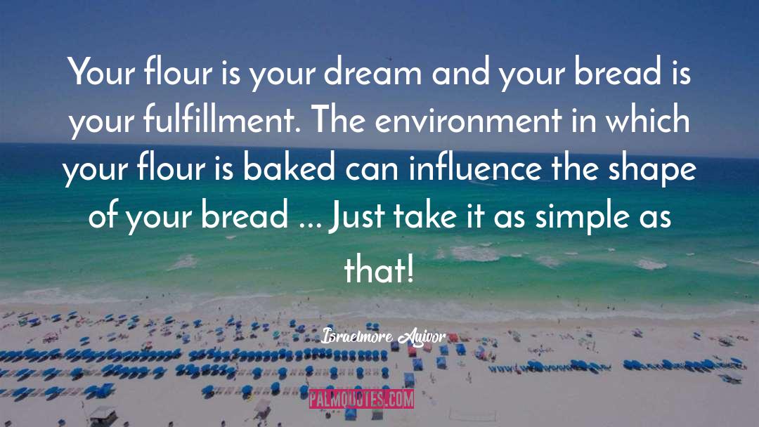 Bake quotes by Israelmore Ayivor