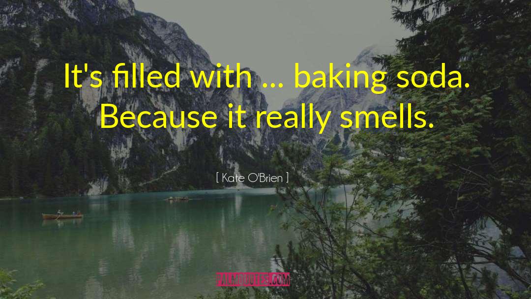 Baking Soda quotes by Kate O'Brien